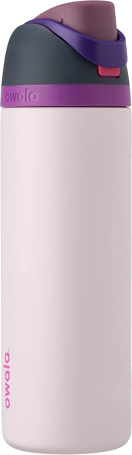 Freesip Insulated Stainless Steel Water Bottle with Straw for Sports, Travel, and School Bpa-Free Sports Water Bottle, 24 Oz, Boneyard