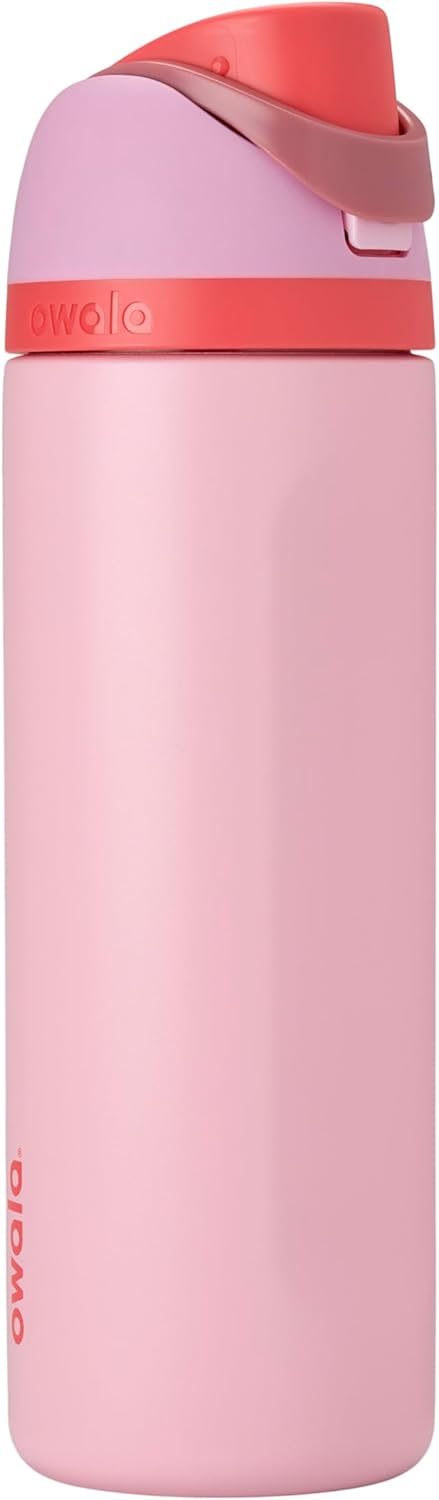 Freesip Insulated Stainless Steel Water Bottle with Straw for Sports, Travel, and School Bpa-Free Sports Water Bottle, 24 Oz, Boneyard