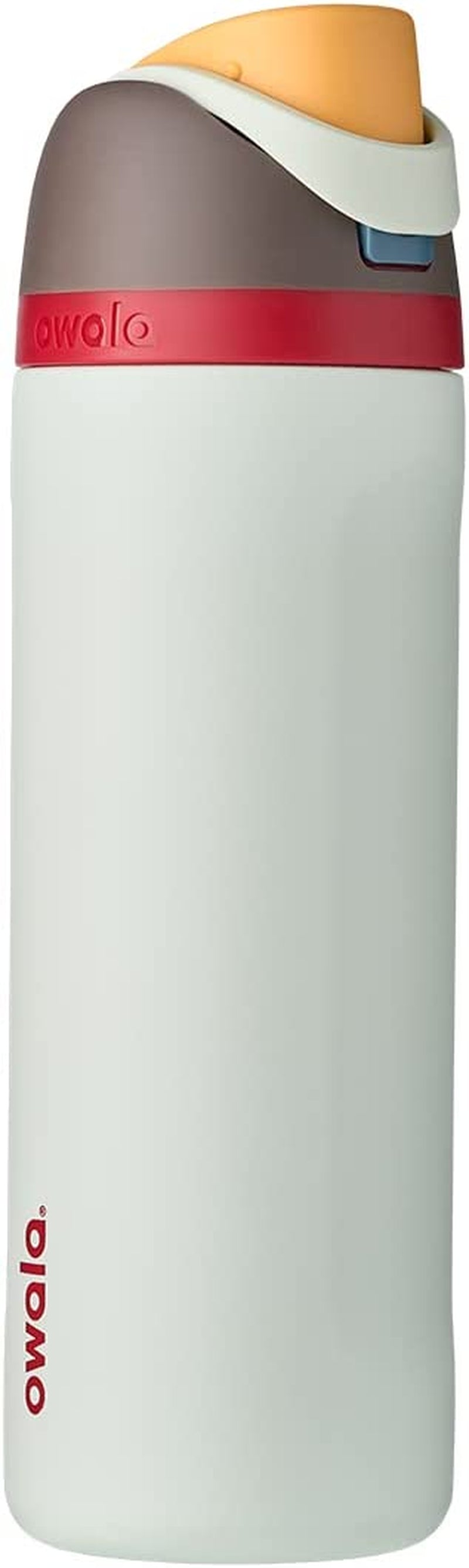 Freesip Insulated Stainless Steel Water Bottle with Straw for Sports, Travel, and School Bpa-Free Sports Water Bottle, 24 Oz, Boneyard