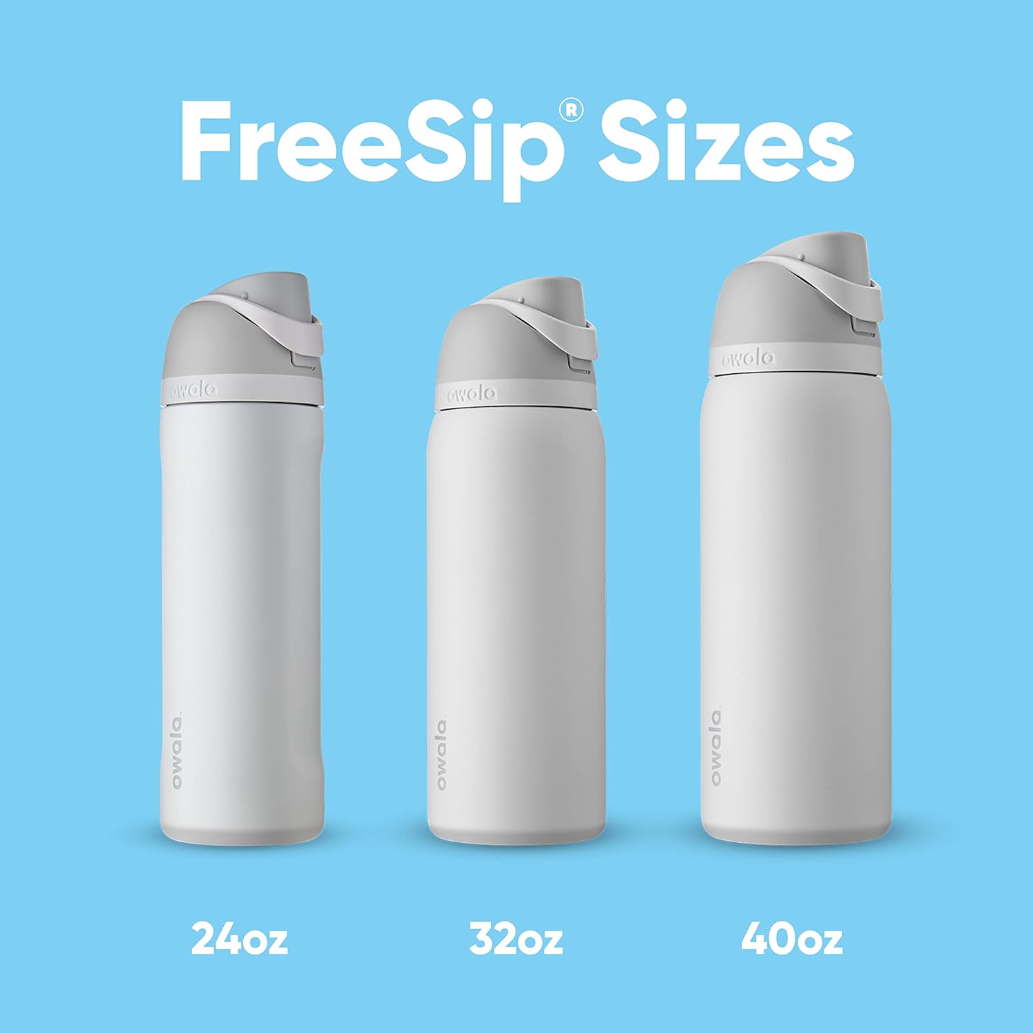 Freesip Insulated Stainless Steel Water Bottle with Straw for Sports, Travel, and School Bpa-Free Sports Water Bottle, 24 Oz, Boneyard