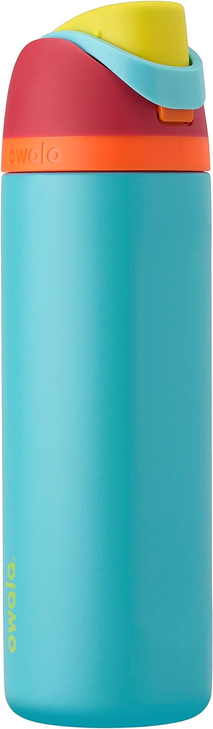 Freesip Insulated Stainless Steel Water Bottle with Straw for Sports, Travel, and School Bpa-Free Sports Water Bottle, 24 Oz, Boneyard