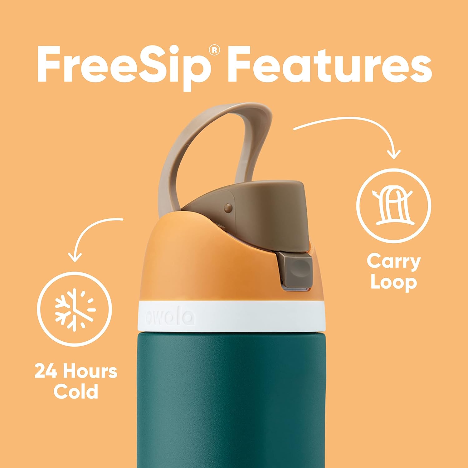 Freesip Insulated Stainless Steel Water Bottle with Straw for Sports, Travel, and School Bpa-Free Sports Water Bottle, 24 Oz, Boneyard