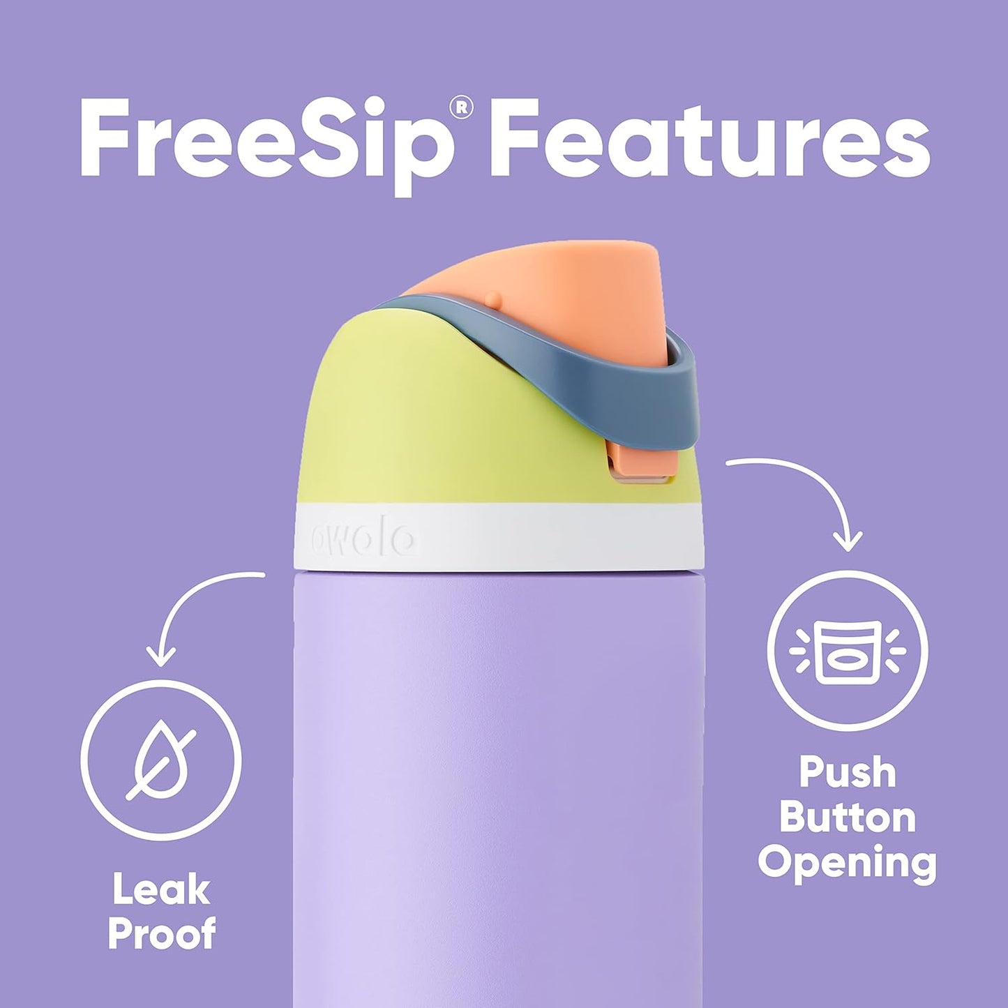 Freesip Insulated Stainless Steel Water Bottle with Straw for Sports, Travel, and School Bpa-Free Sports Water Bottle, 24 Oz, Boneyard