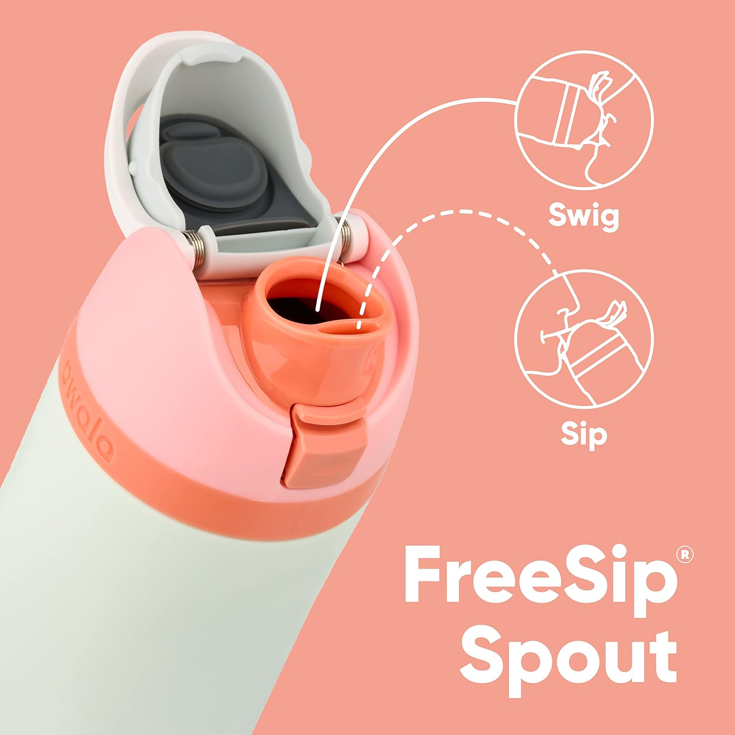 Freesip Insulated Stainless Steel Water Bottle with Straw for Sports, Travel, and School Bpa-Free Sports Water Bottle, 24 Oz, Boneyard